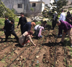 نشاط مشترك بين لجان الحماية والمتطوعين