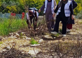 نحن باقون ما بقي الزيتون والزعتر: غرس الزيتون في كفر جمال إحياءً ليوم الأرض