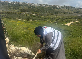 نحن باقون ما بقي الزيتون والزعتر: غرس الزيتون في كفر جمال إحياءً ليوم الأرض